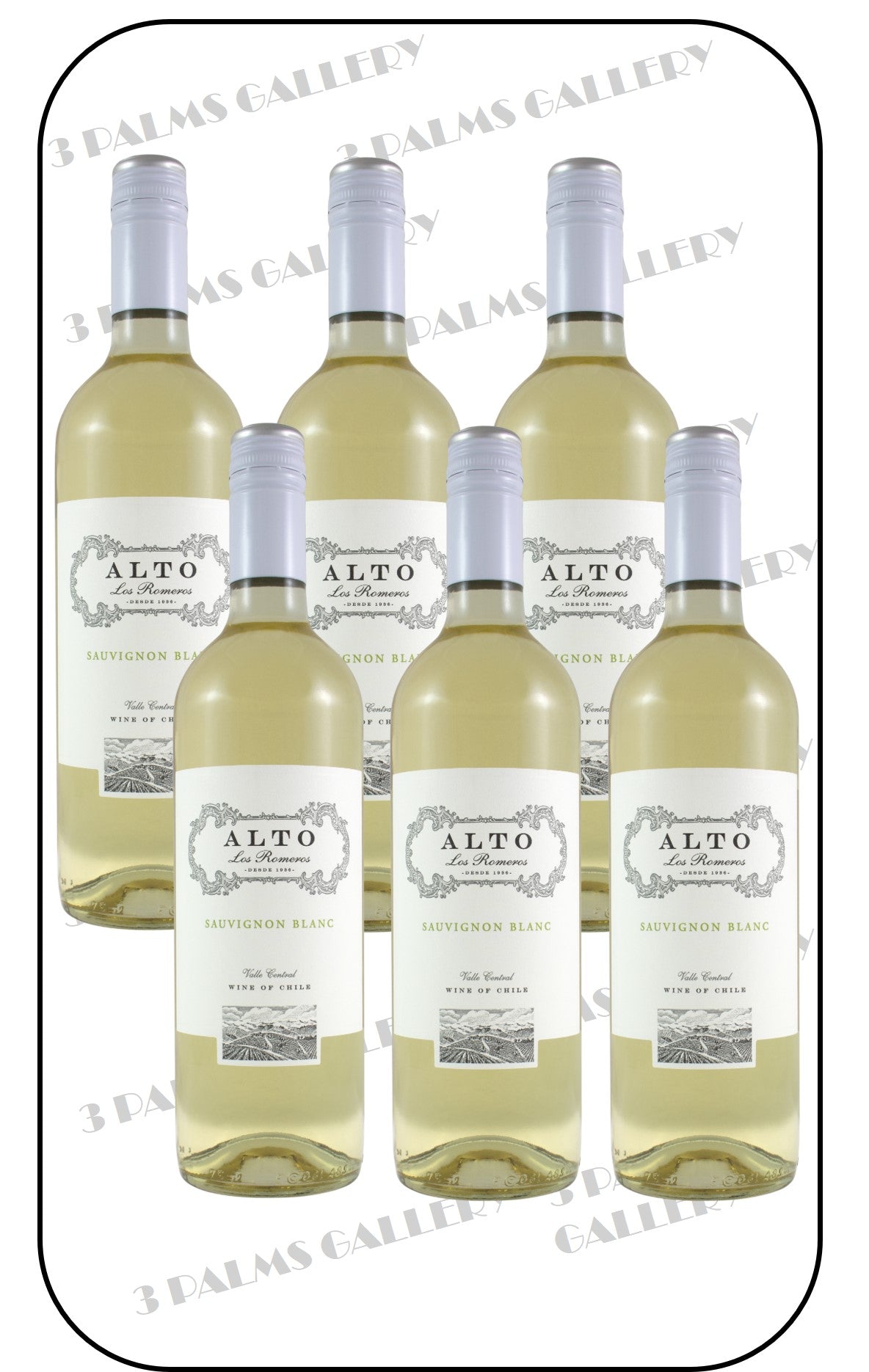 Alto Los Romeros Varietal Sauvignon Blanc 2022 / 2023