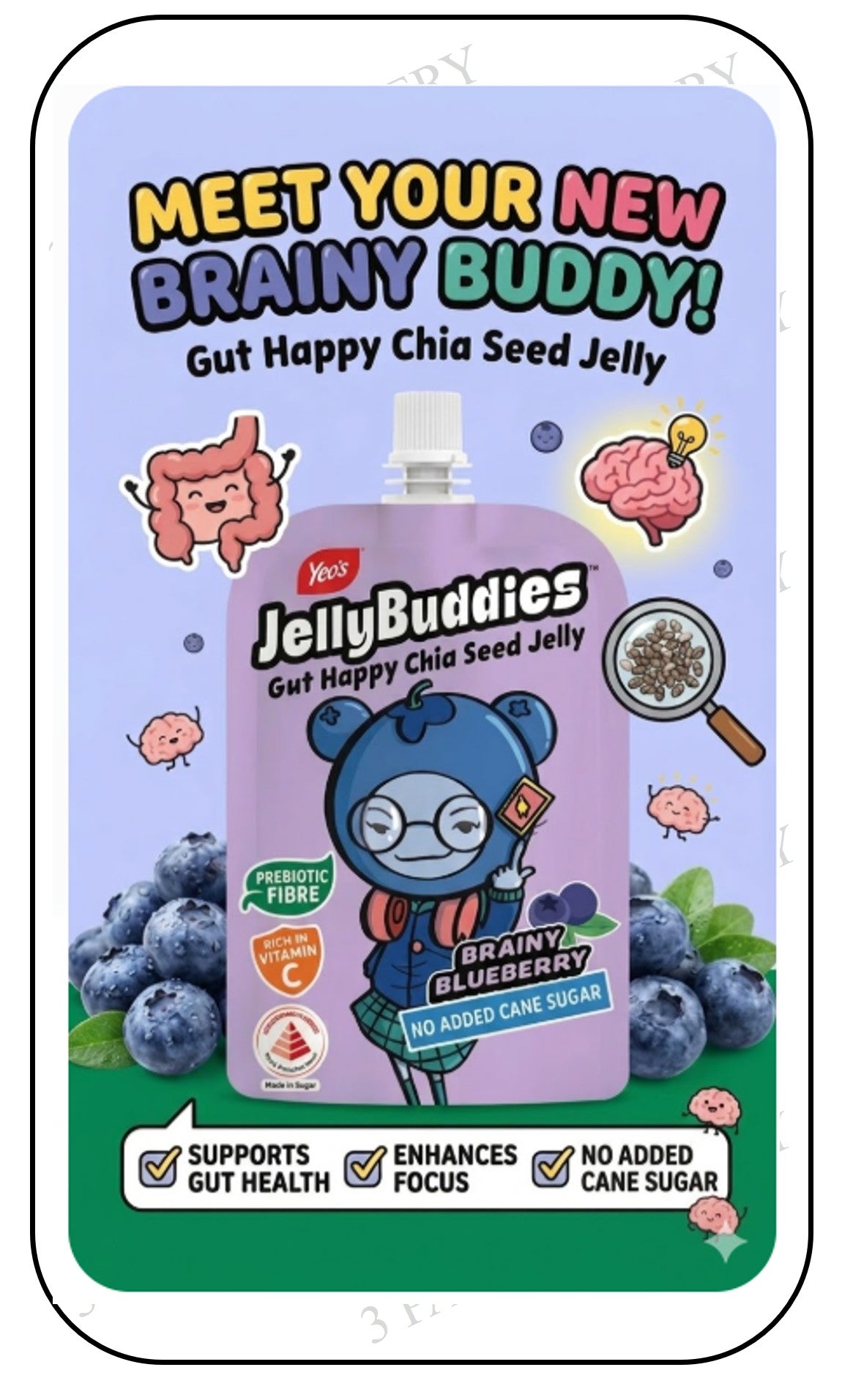 Jelly Buddies (Halal) - Brainy Blueberry (With Real Fruit Juice & Superfood Chia Seeds)