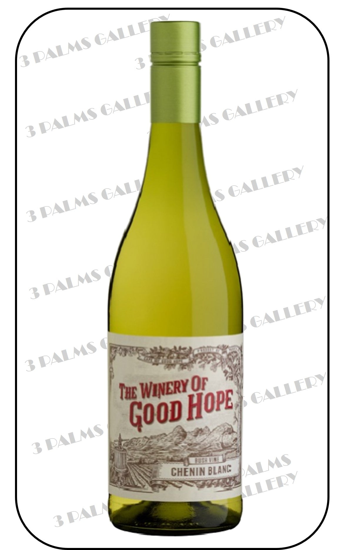 The Winery Of Good Hope - Bush Wine Chenin Blanc 2022 / 2023