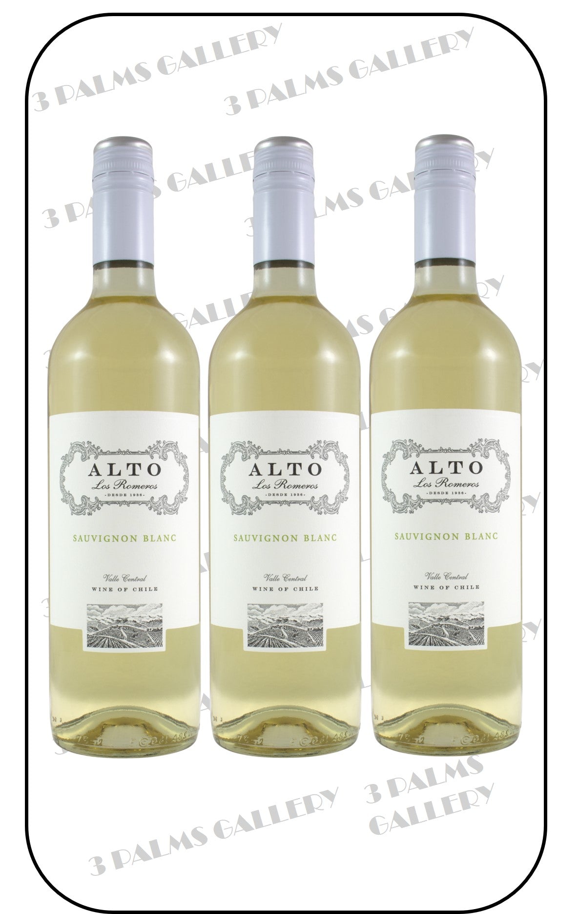 Alto Los Romeros Varietal Sauvignon Blanc 2022 / 2023