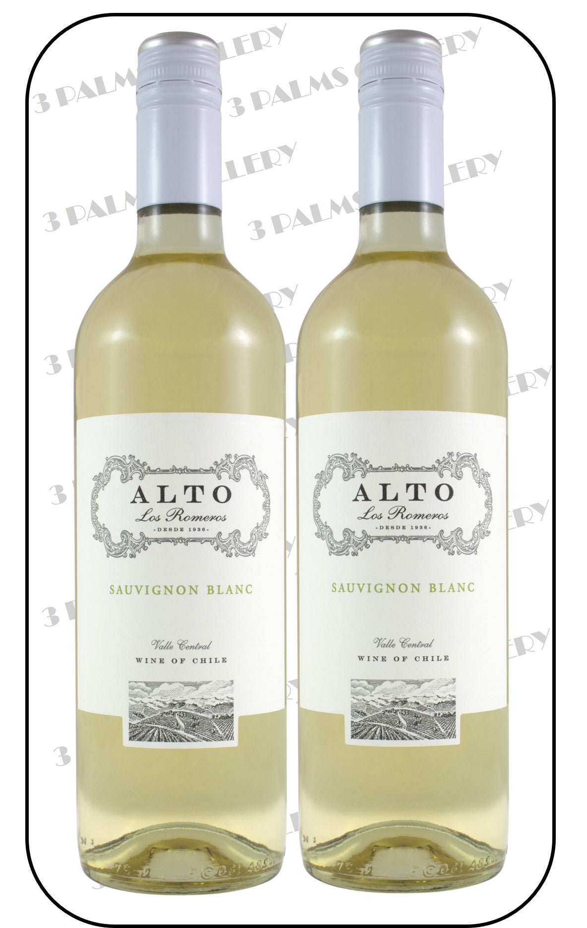 Alto Los Romeros Varietal Sauvignon Blanc 2022 / 2023